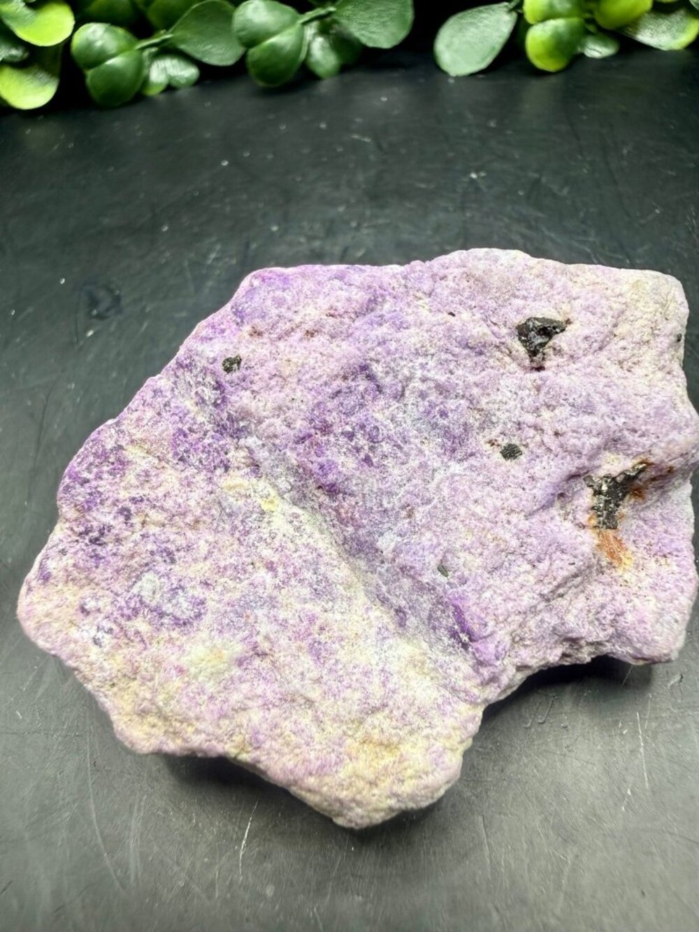 UV Reactive Colorado Hackmanite Raw Crystal 2.33” Purple Fluorescent Mineral